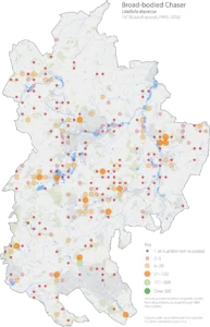 Broad-bodied Chaser Bedfordshire distribution map