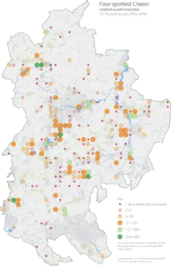 Four-spotted Chaser Bedfordshire distribution map