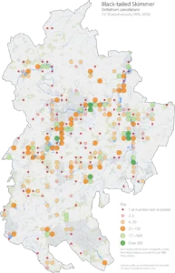 Black-tailed Skimmer Bedfordshire distribution map