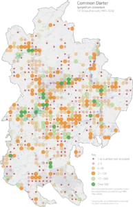Common Darter Bedfordshire distribution map